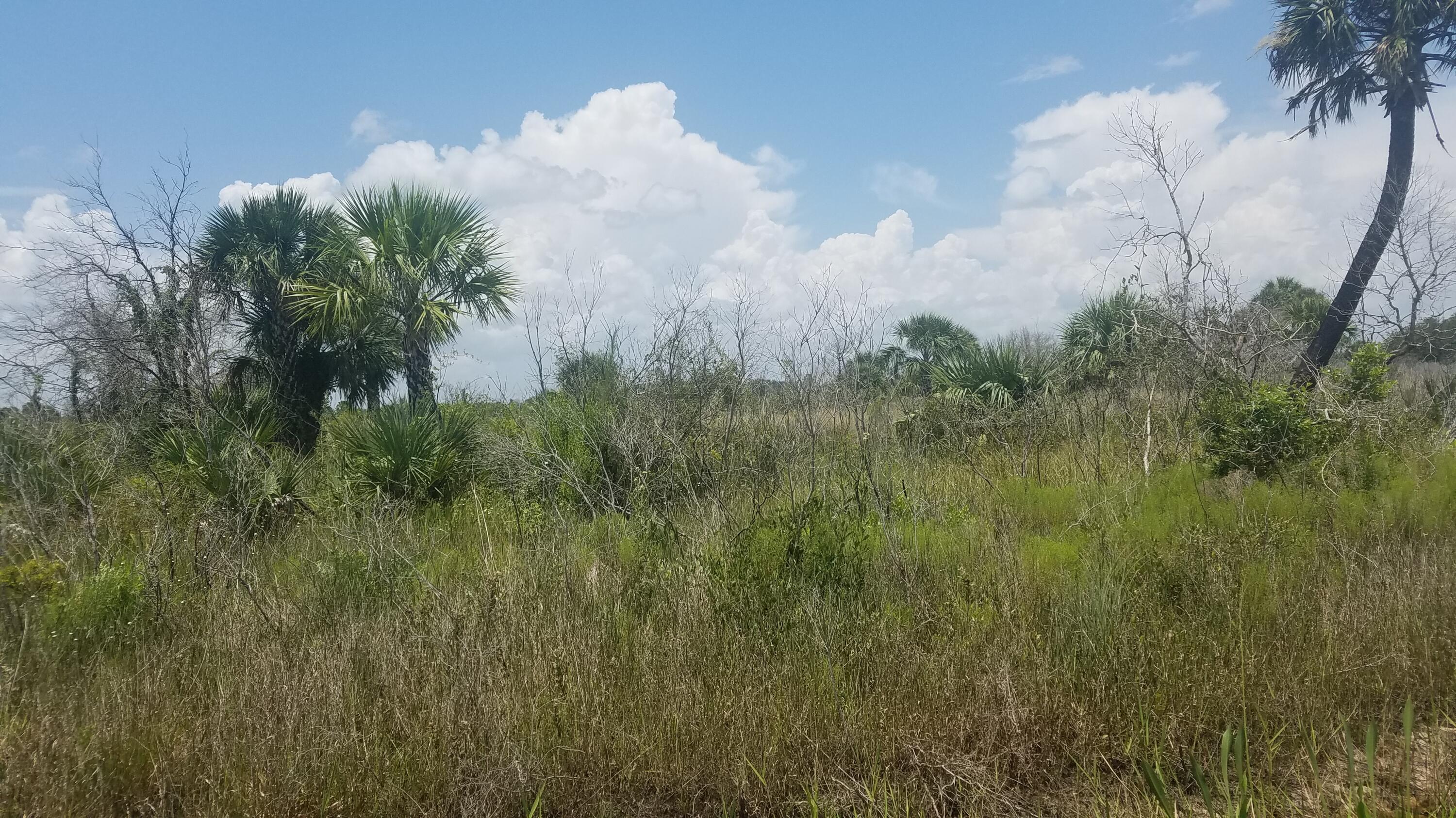 a view of a lake in between the bunch of trees