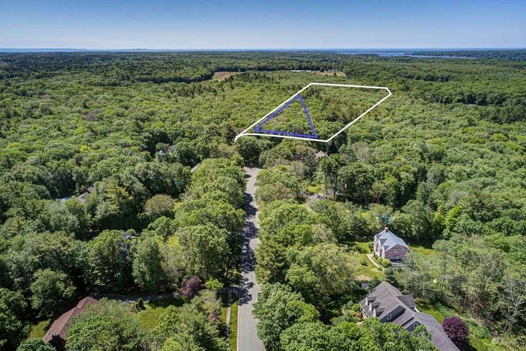 an aerial view of residential houses with outdoor space and trees