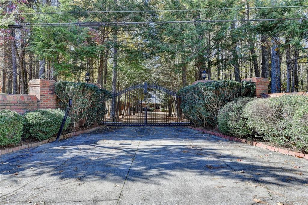 a view of a yard with plants and trees