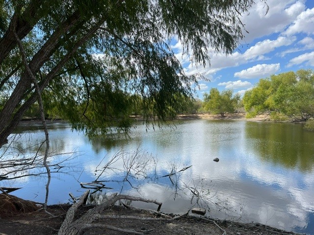 a lake view with a garden