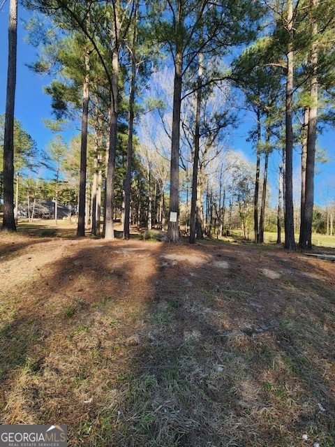 a view of a road with large trees