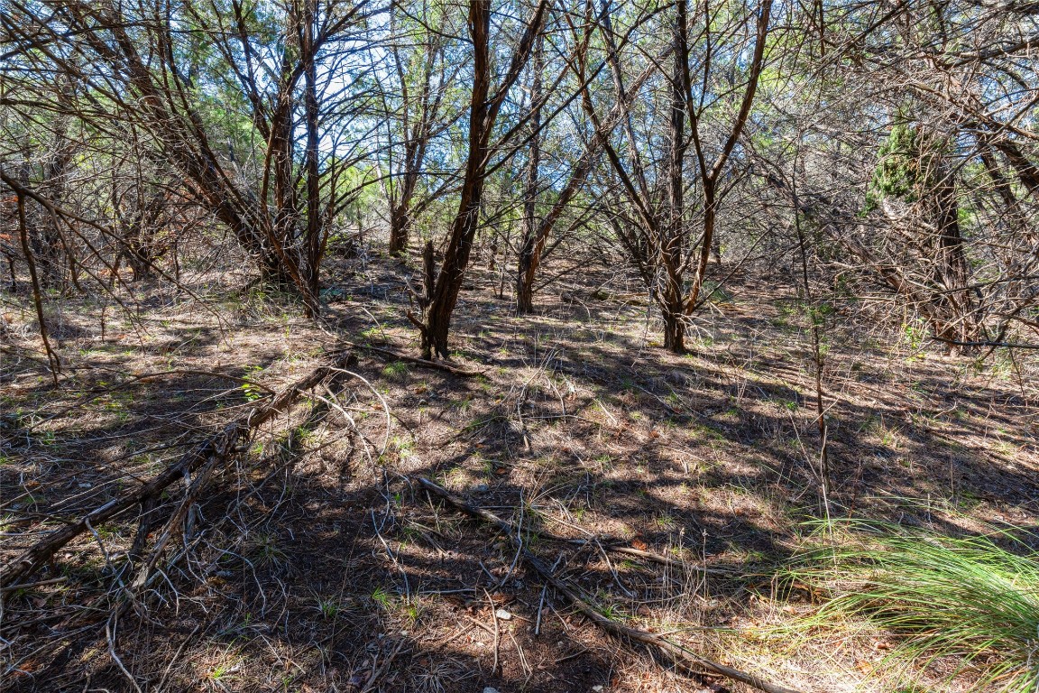 a view of a yard