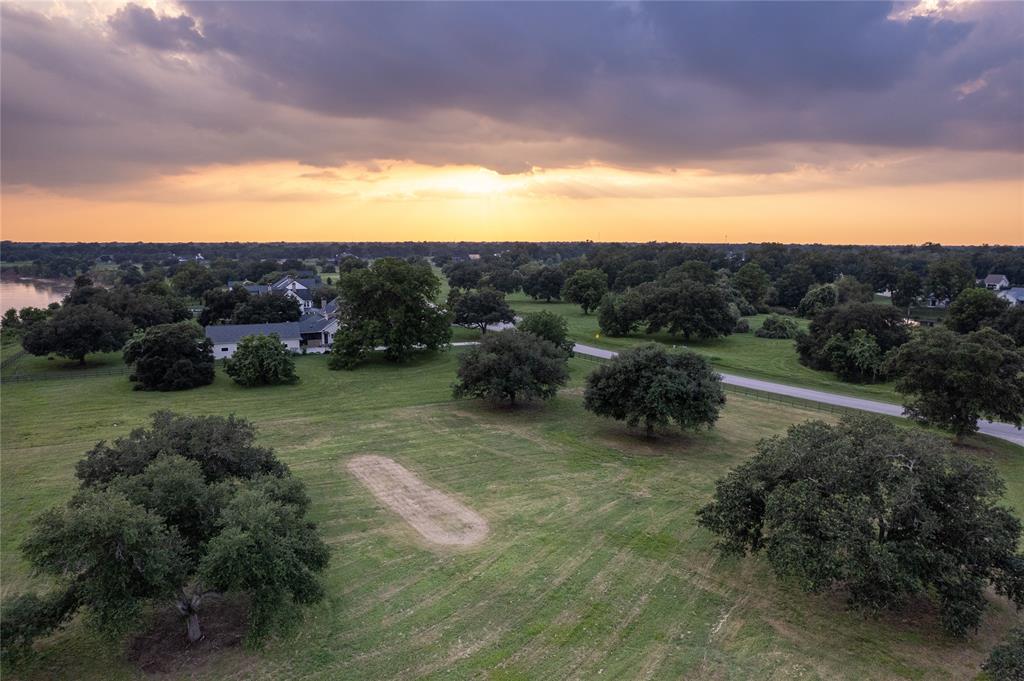 a view of a bunch of trees and houses