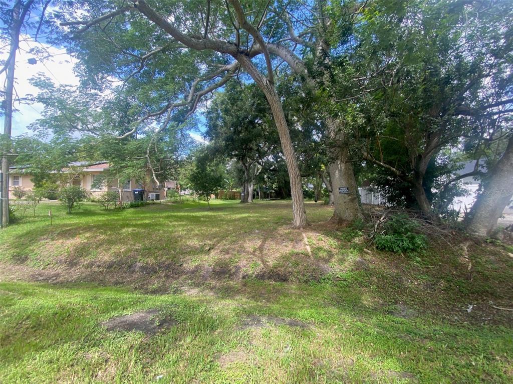 a view of a park with large trees