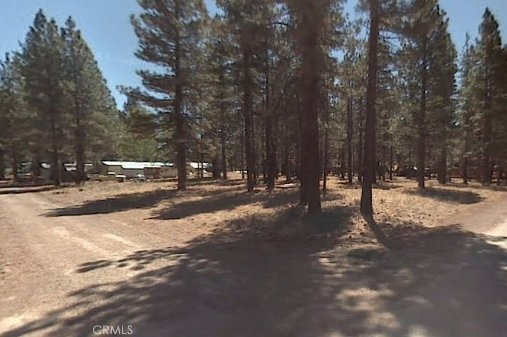 a view of road with trees