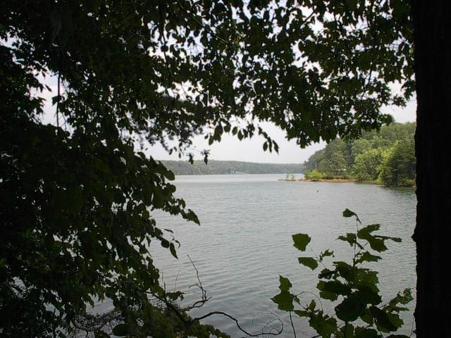 a view of lake from a yard