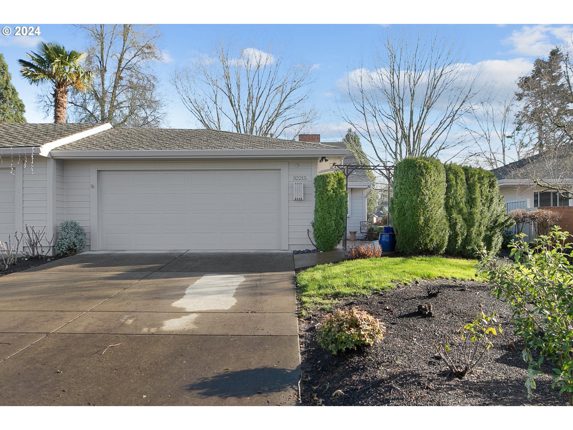 a backyard of a house with large trees and plants