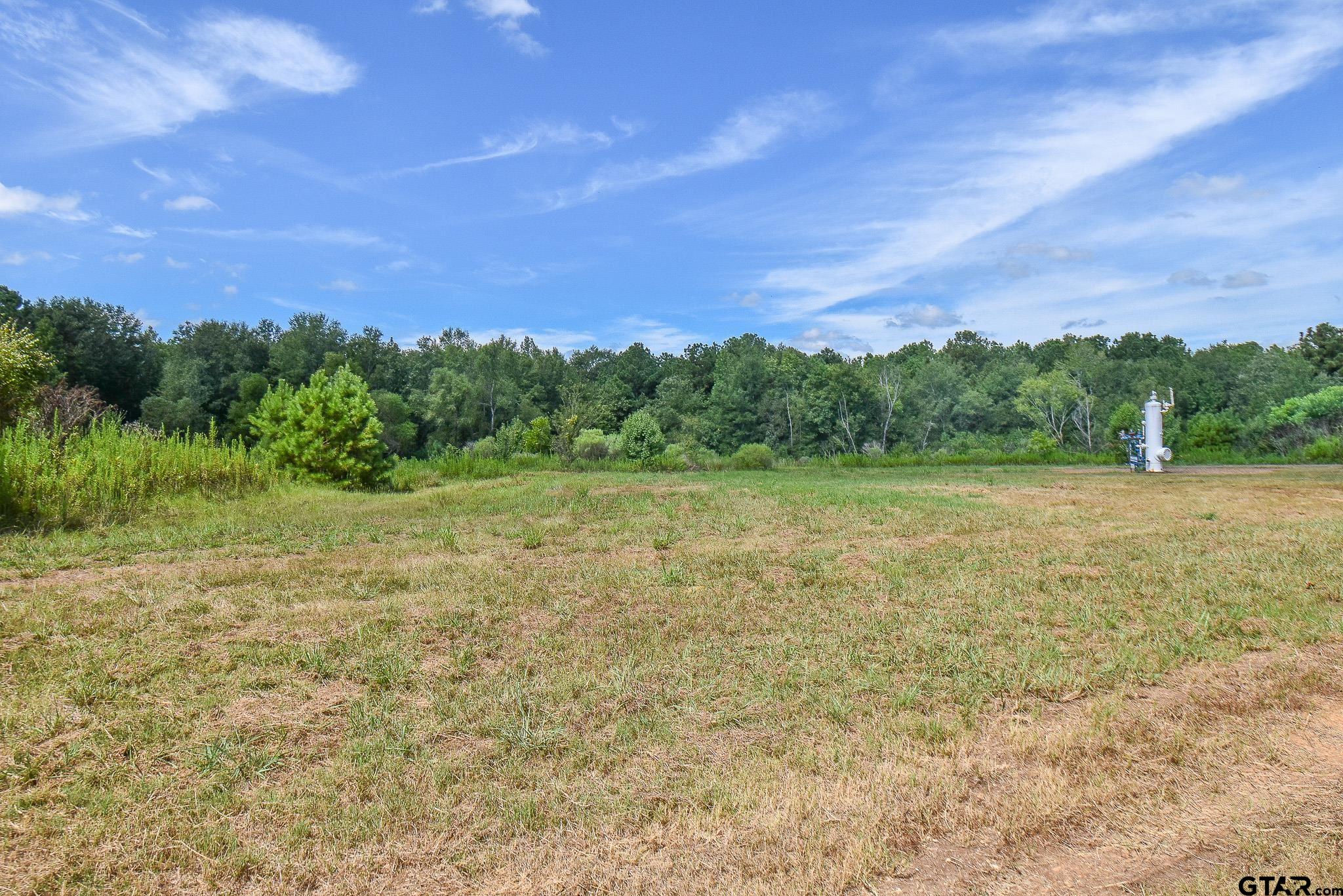 a view of a field with trees in the background