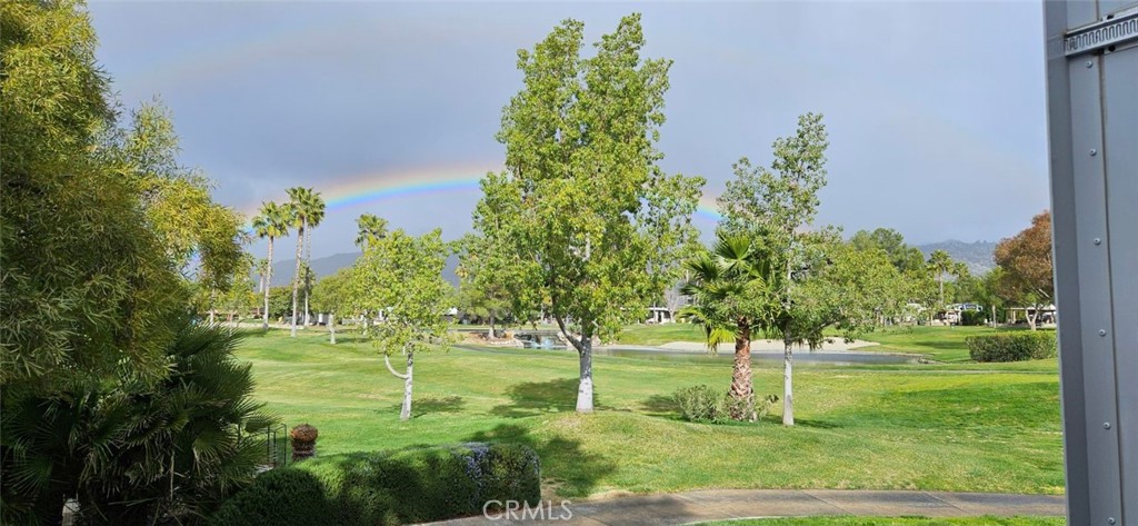 a view of a garden