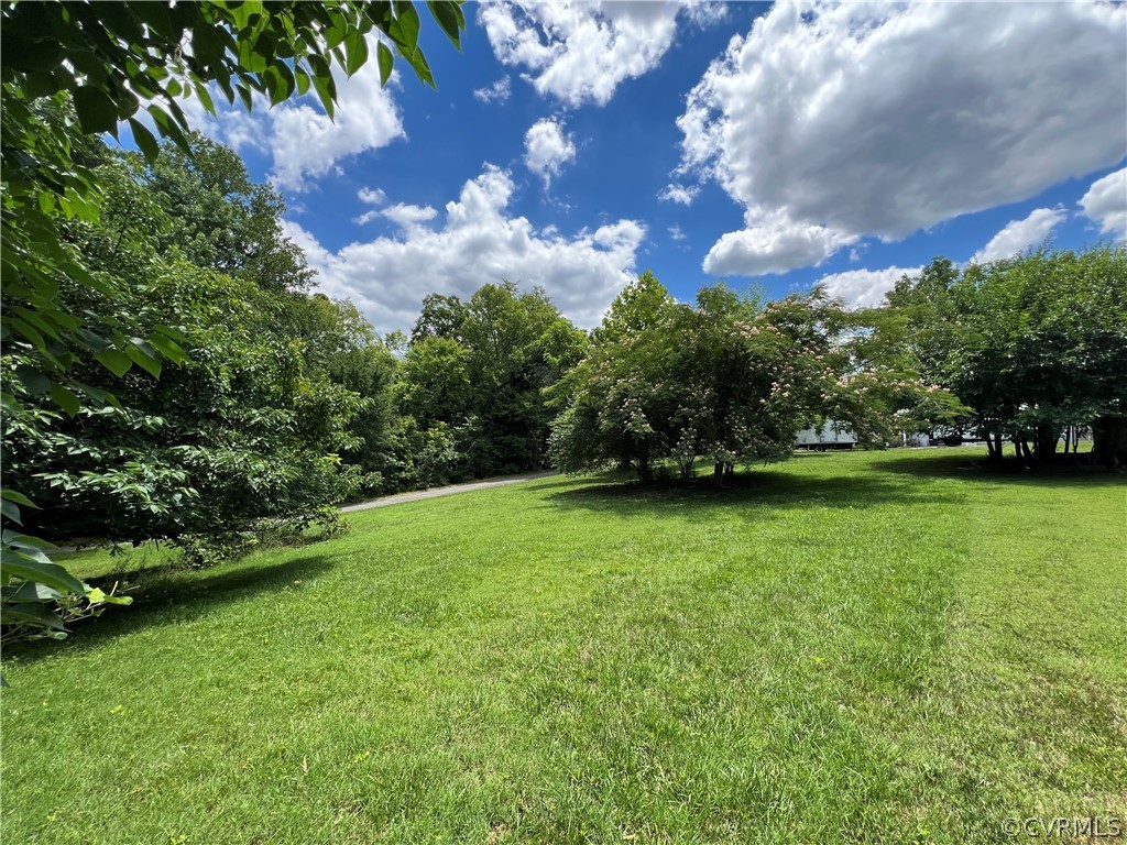 a view of yard with green space