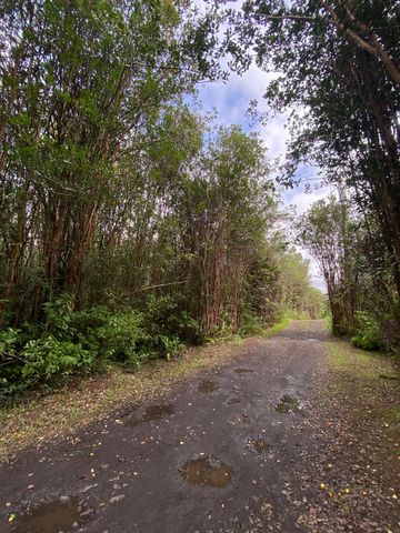 $43,000 | 4045 Road 5 (uau) Mountain View | Hawaiian Acres