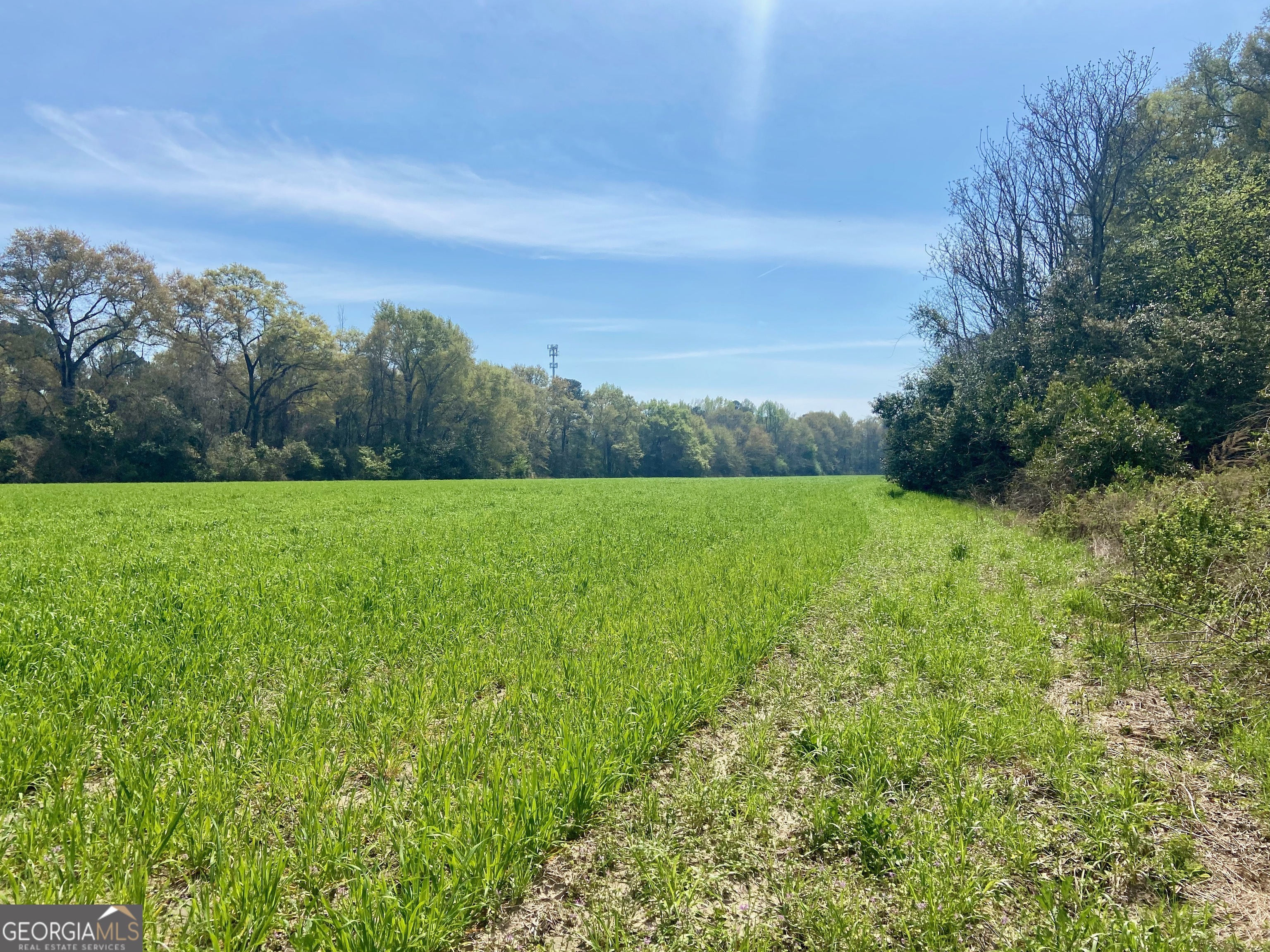 a view of grassy field with trees in the background