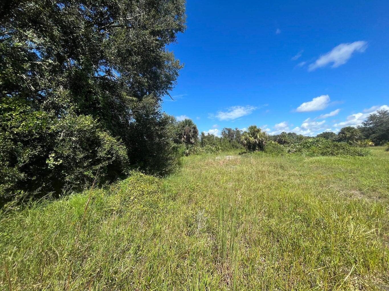 a view of a field with an ocean