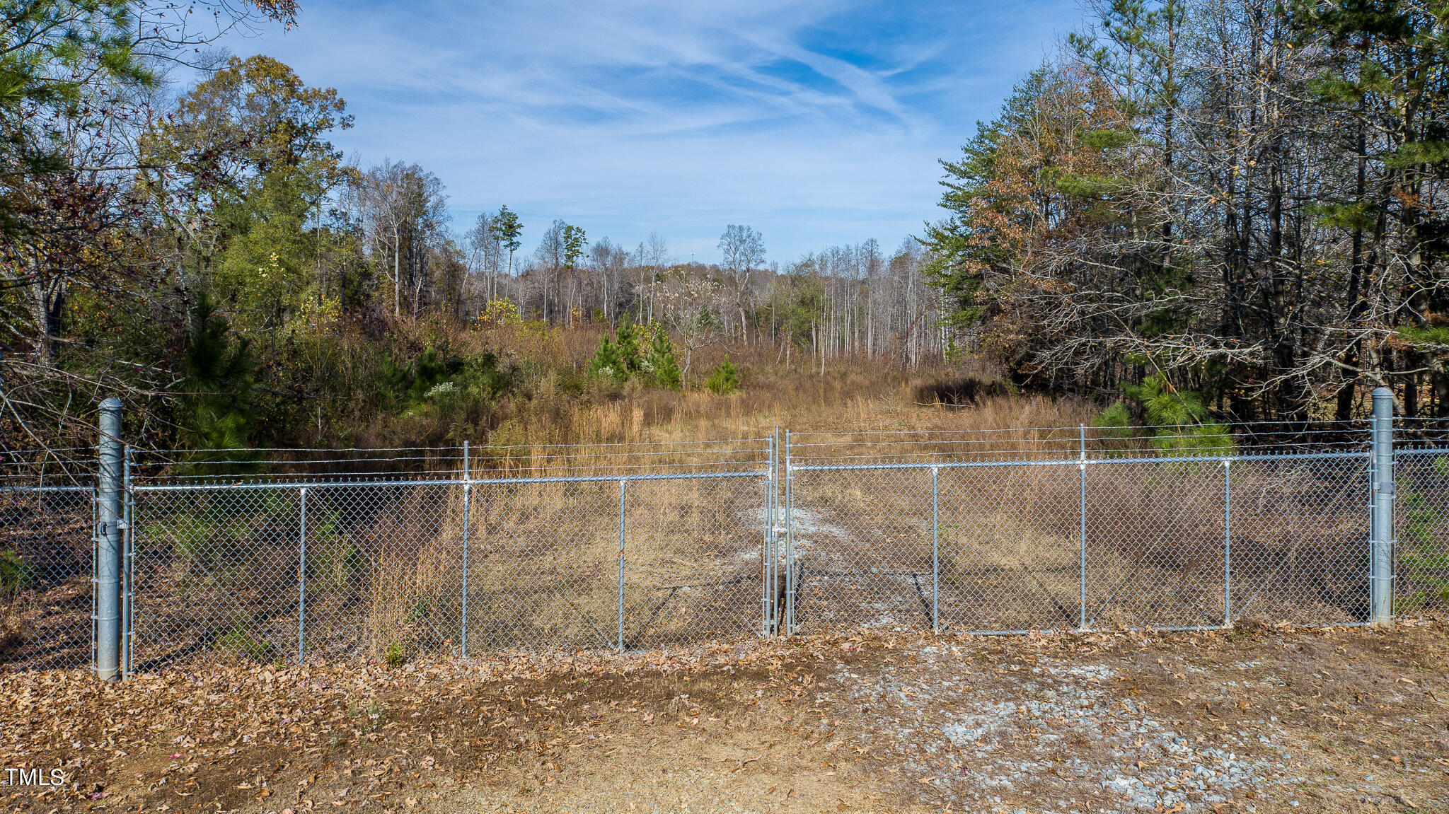 a view of a forest