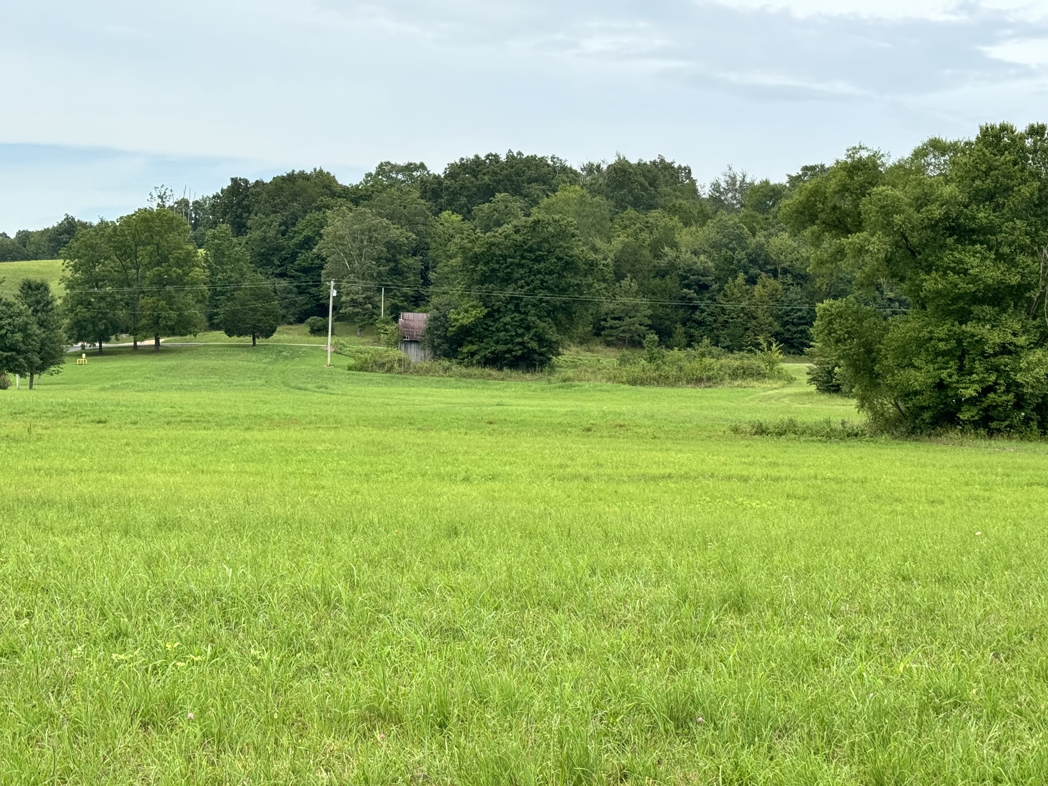 a view of field with trees in the background