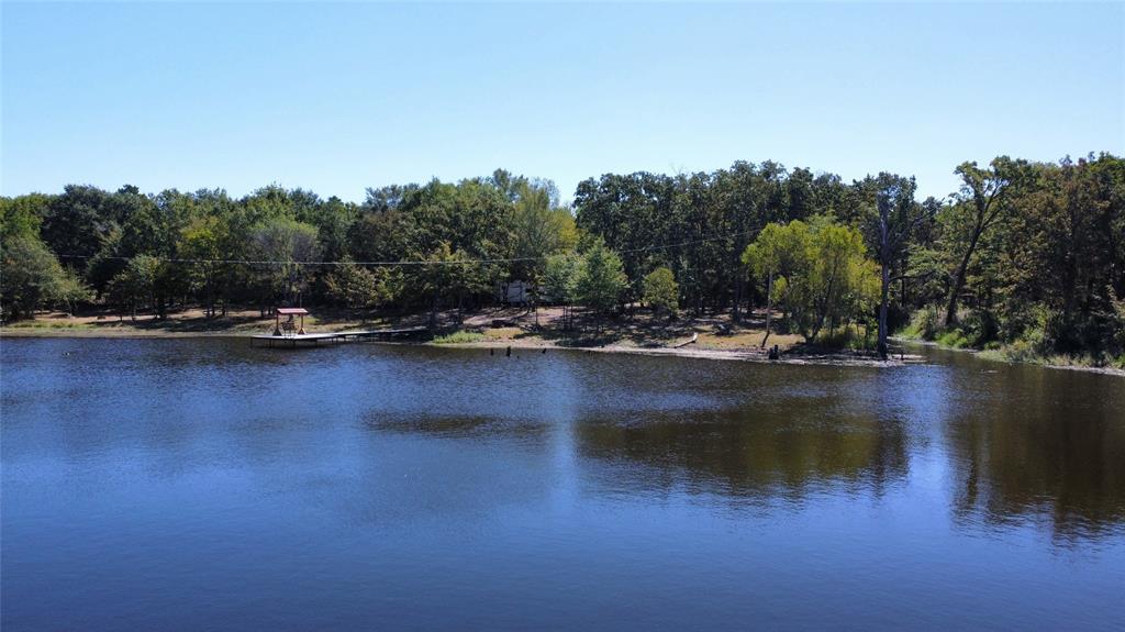 a view of water with trees