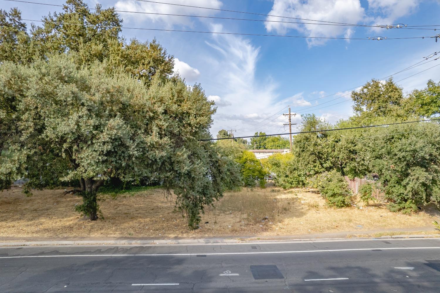 a view of a yard with a tree