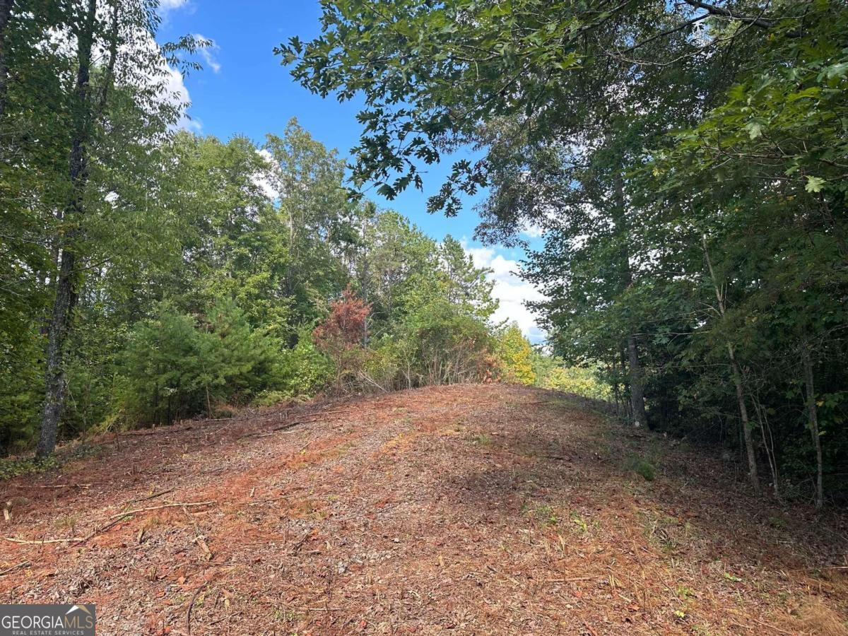 a view of a dirt field with trees in the background