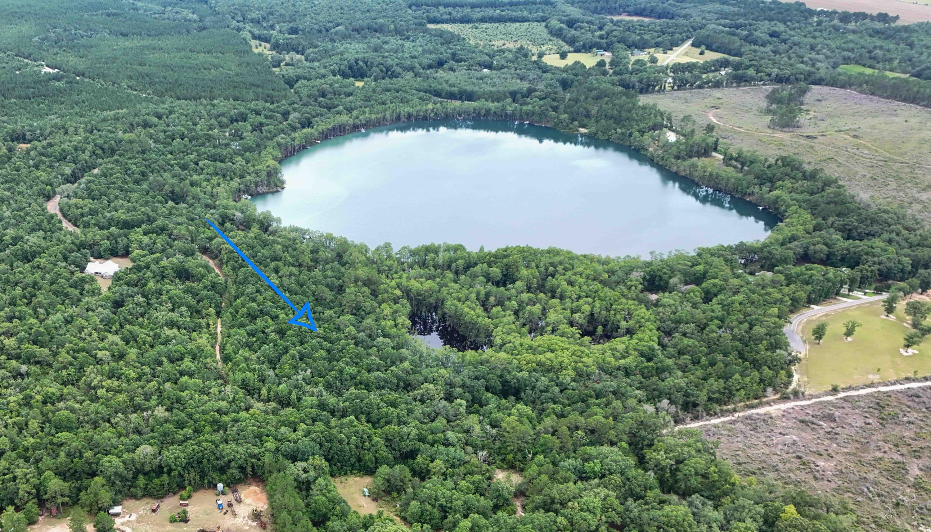 an aerial view of a house with a yard and lake view