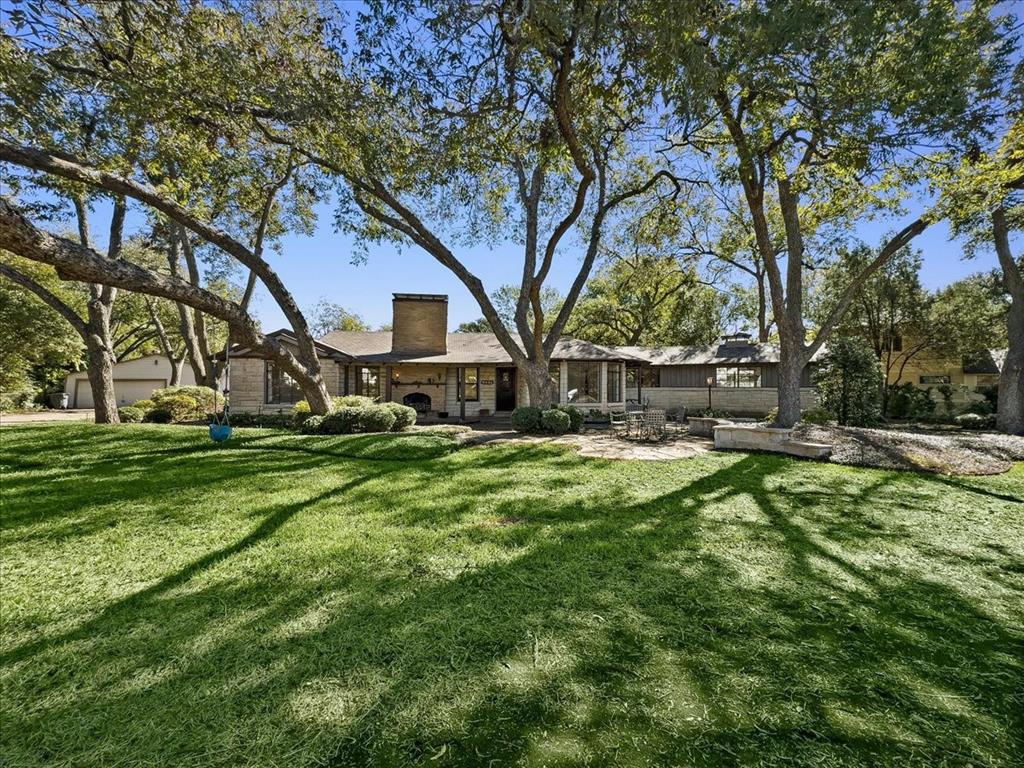 a view of yard with large tree