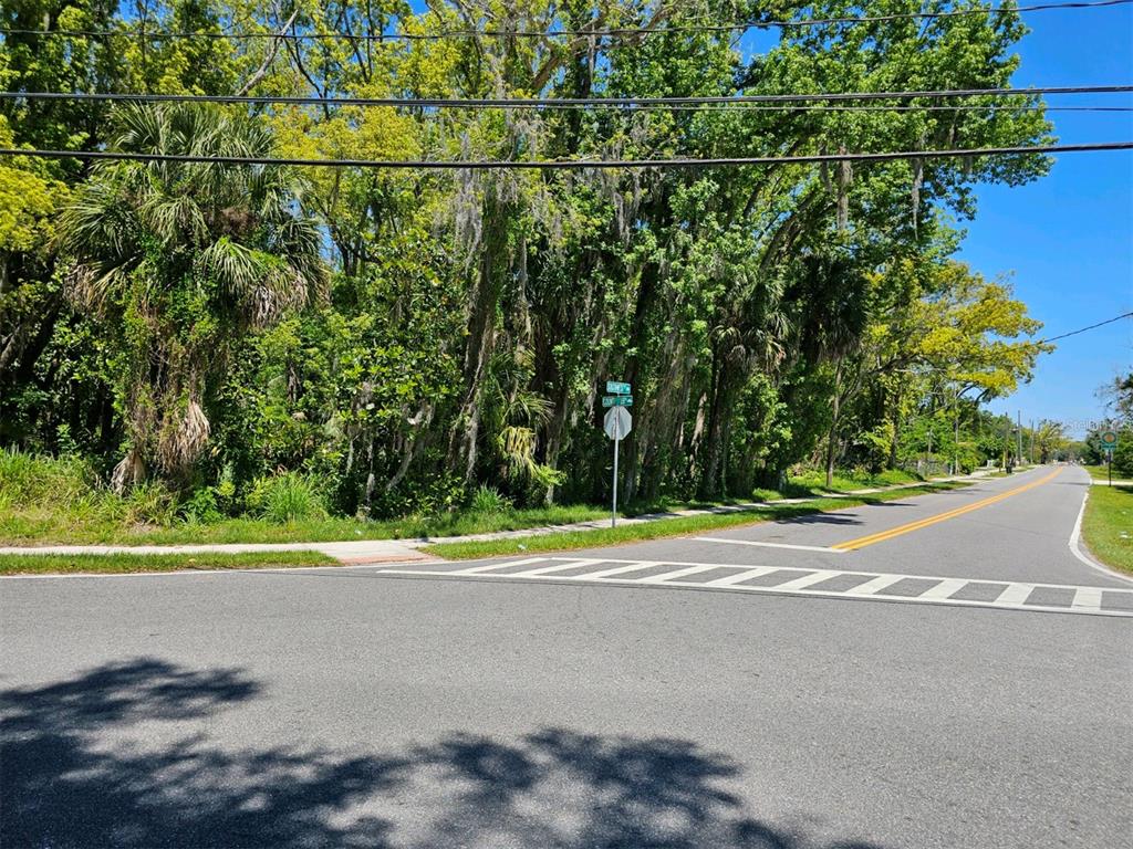 a close up of a road with a yard