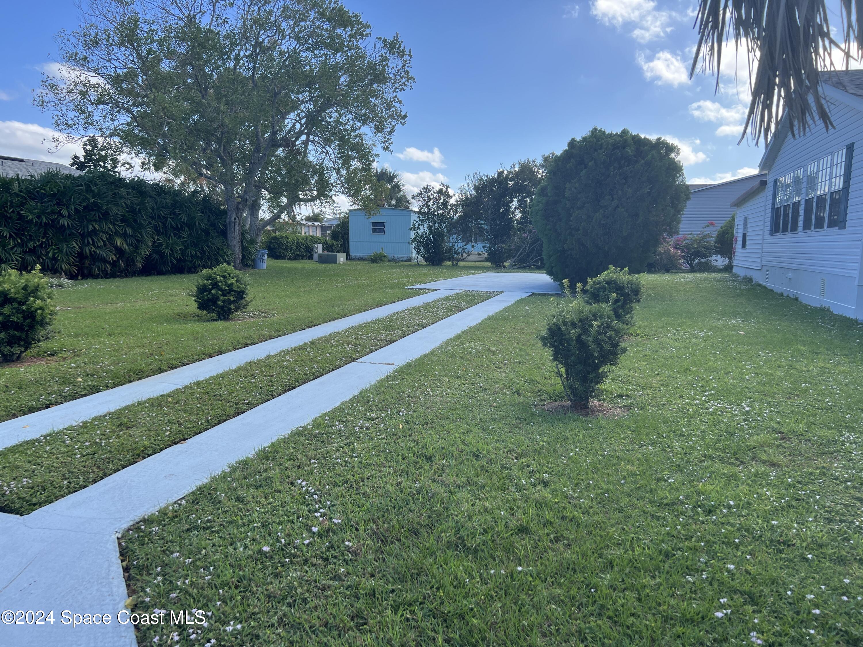 a view of a backyard with large trees