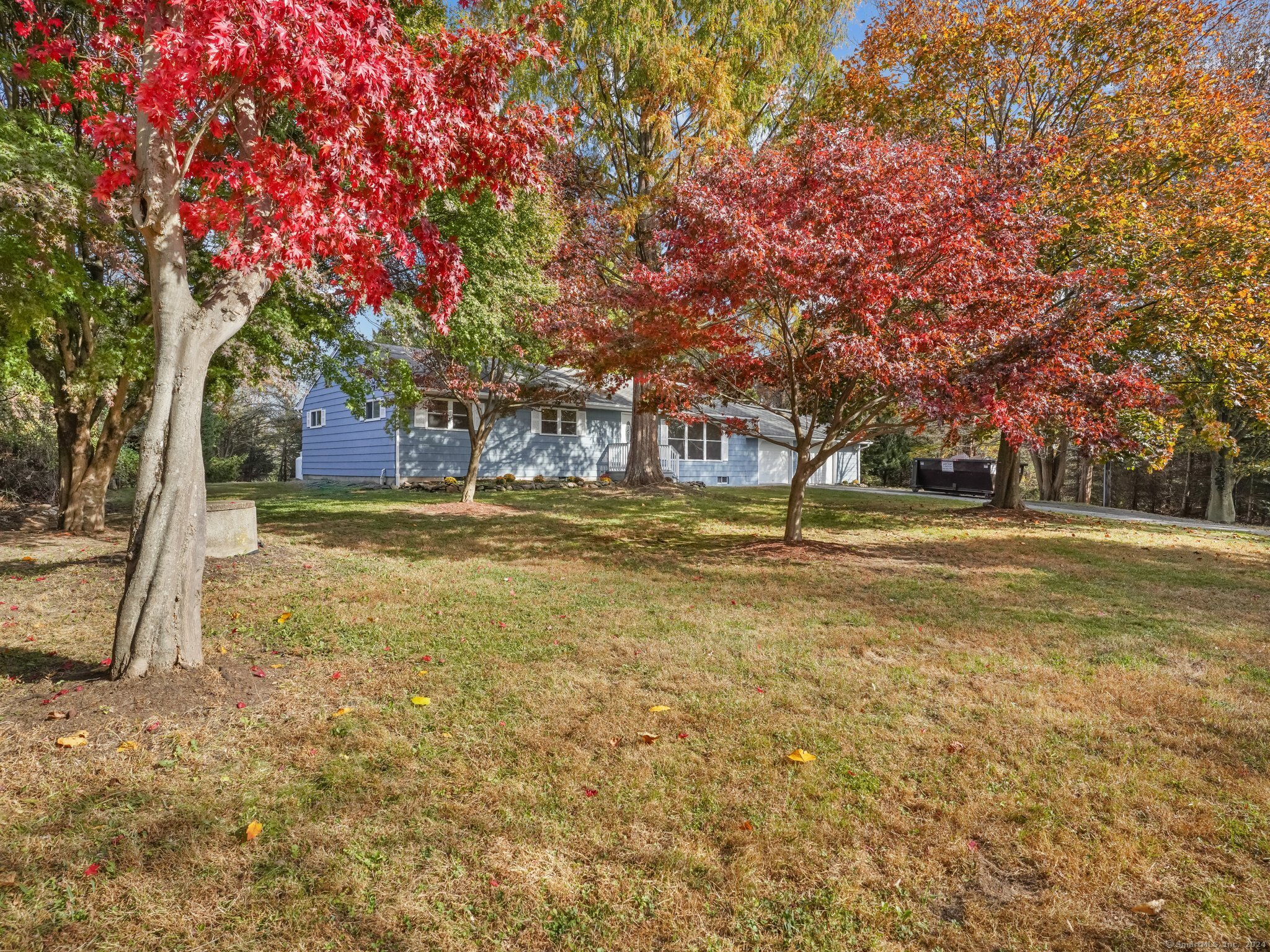 a view of yard with trees