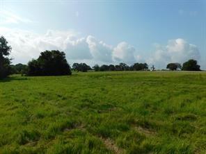 a view of a green field