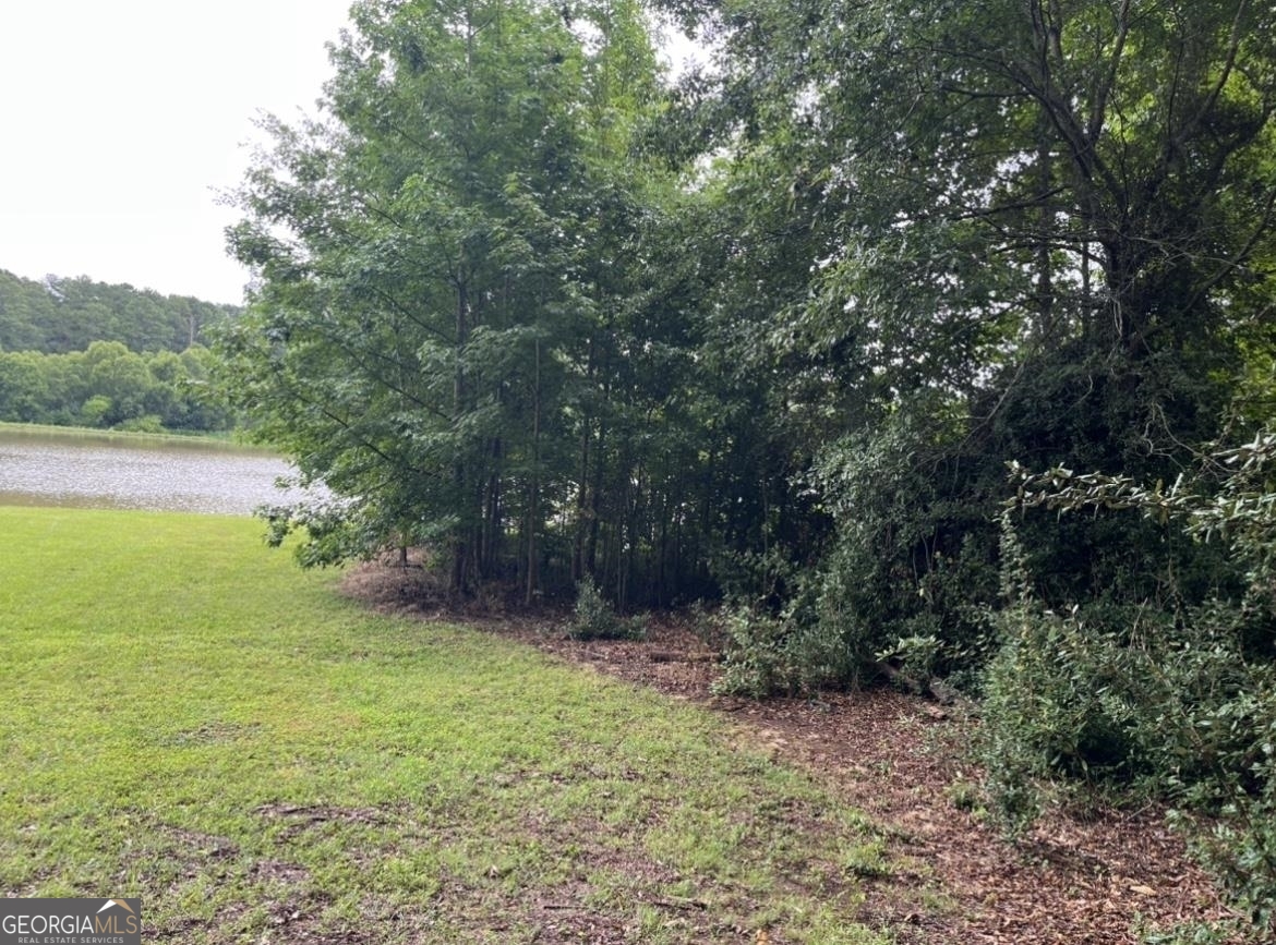 a view of an outdoor space and a yard