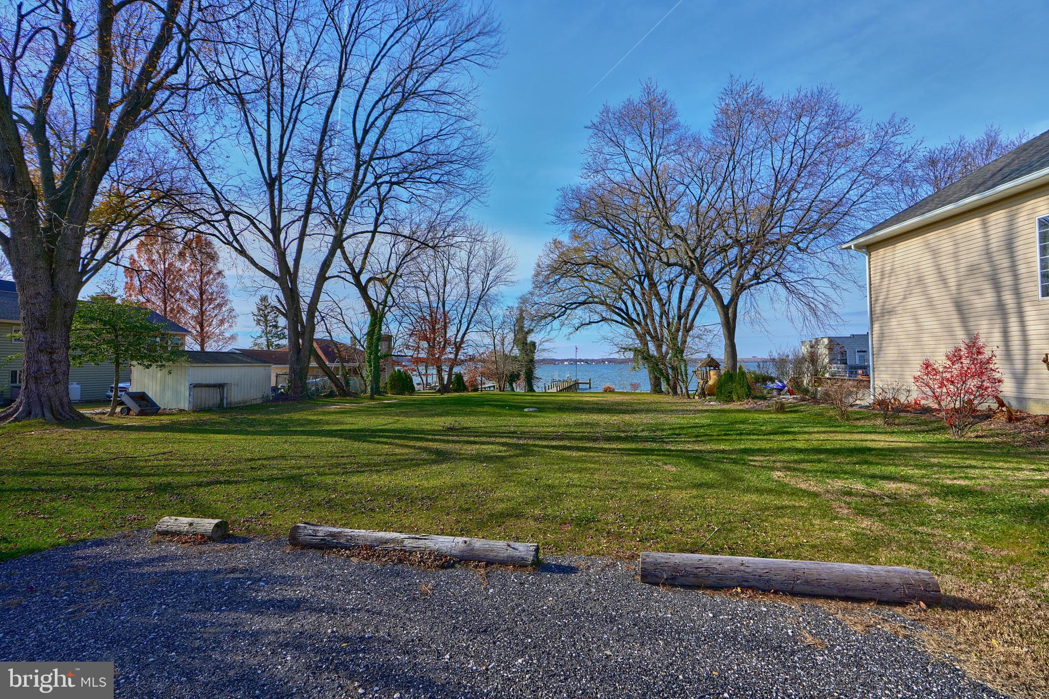 a view of a park with large trees