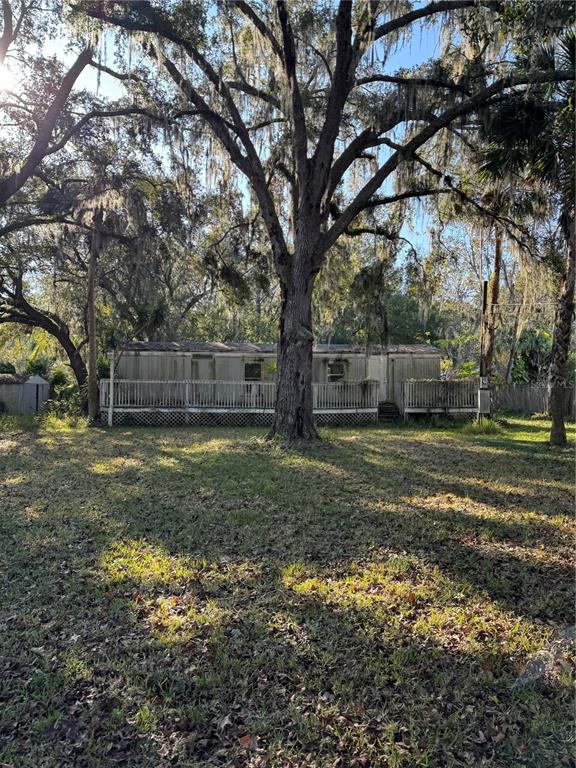 a view of a backyard with large trees