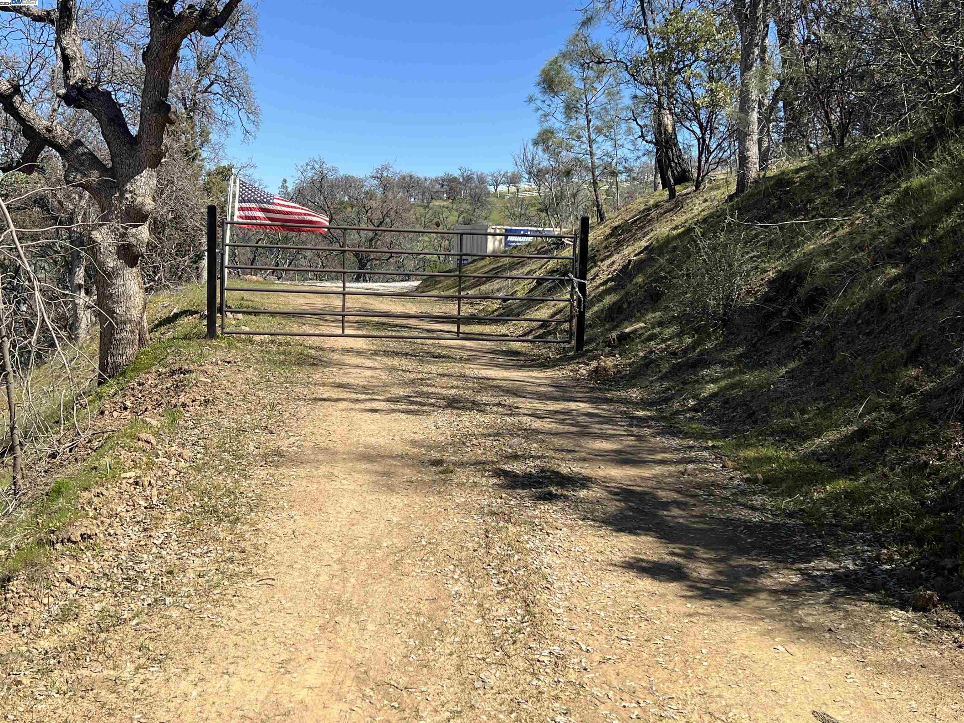 a view of pathway along with trees