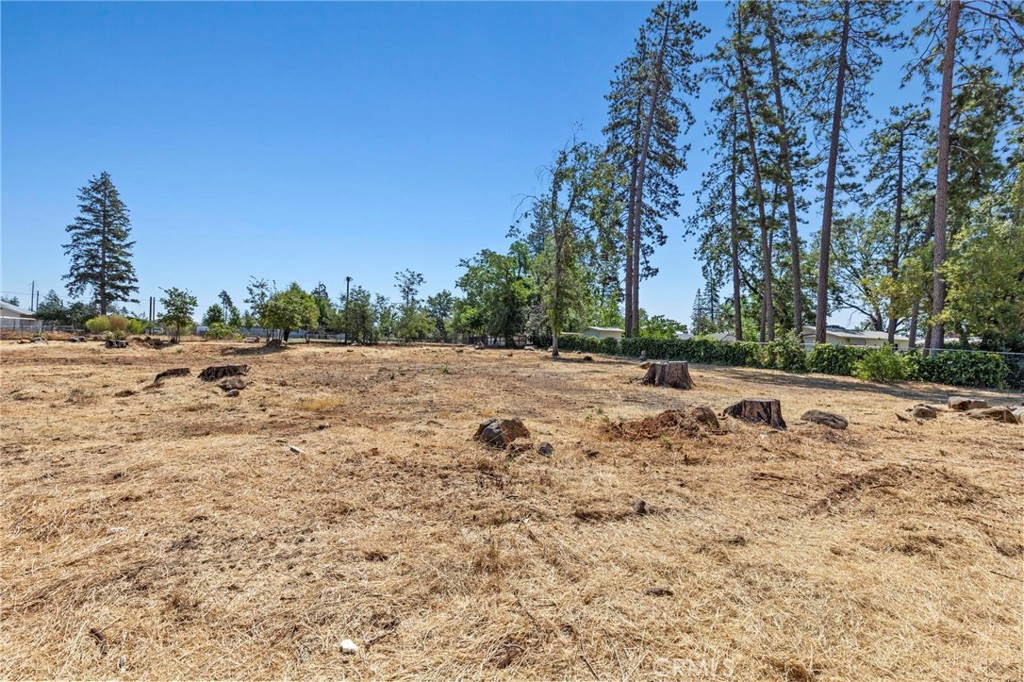 a view of dirt yard with a large tree