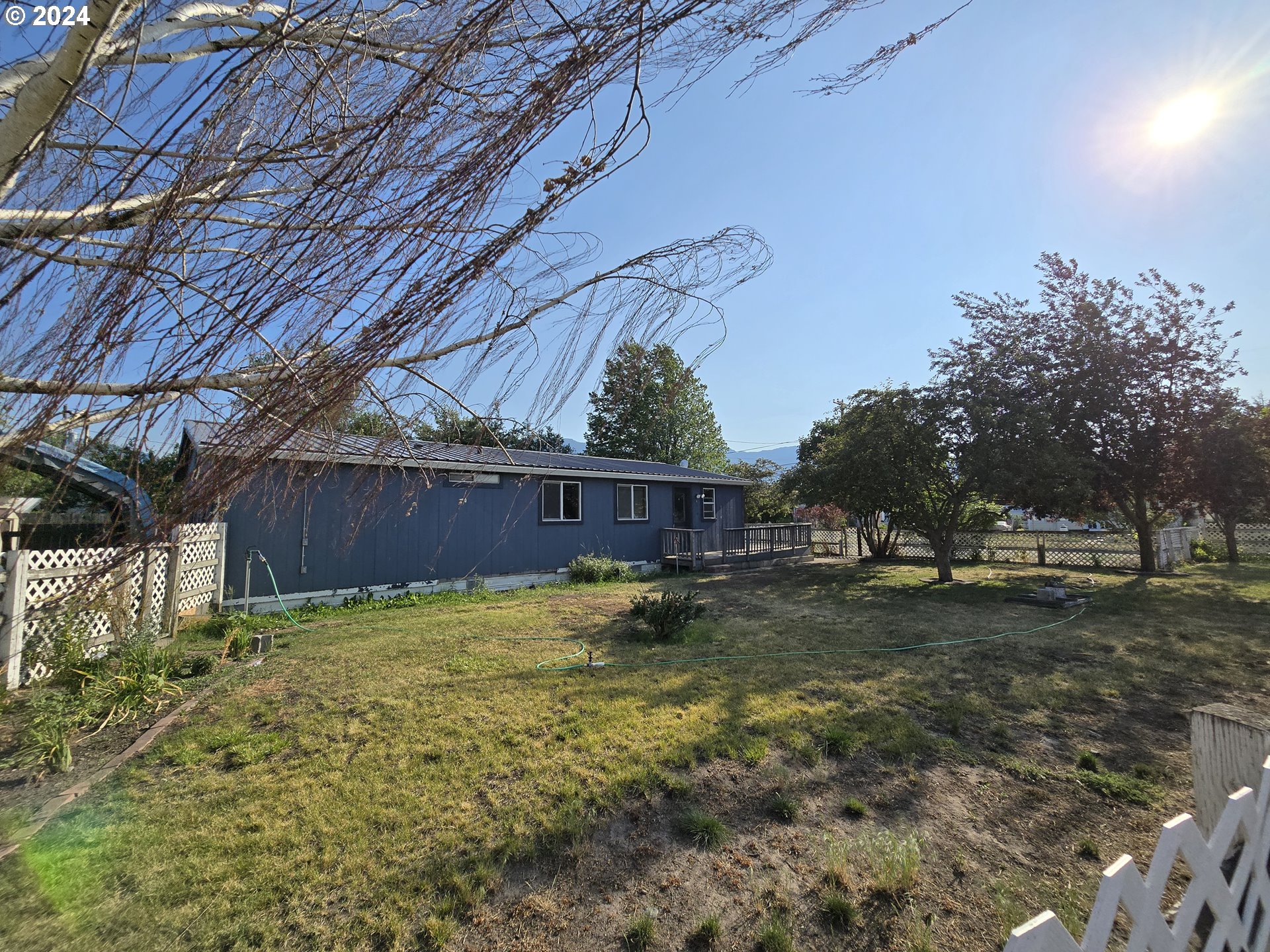 a view of a backyard with large trees and wooden fence