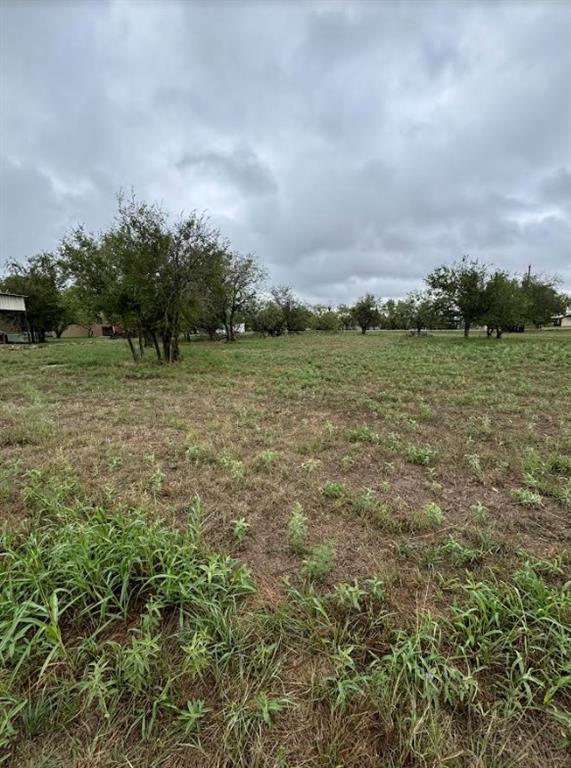 a view of a field of grass and trees