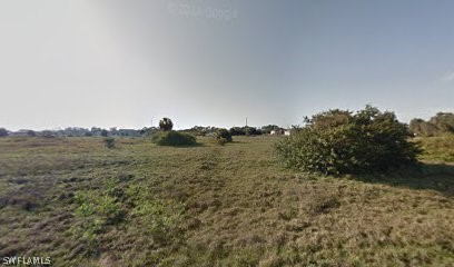 a view of a big yard with a mountain