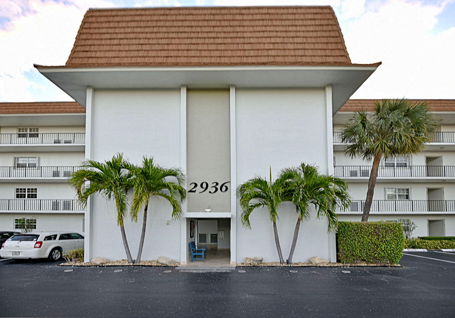 a couple of palm trees in front of house