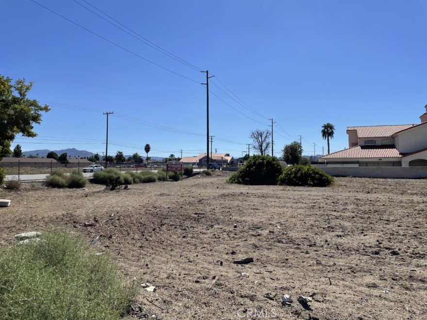 a row of palm trees and a view of a yard