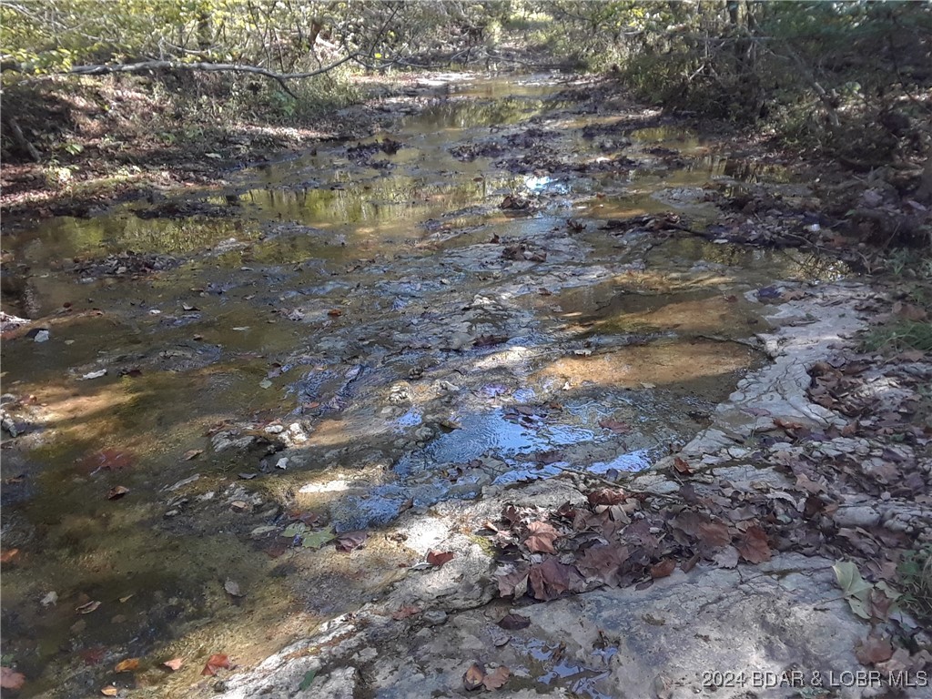 Spring fed Little Buffalo Creek runs through the p