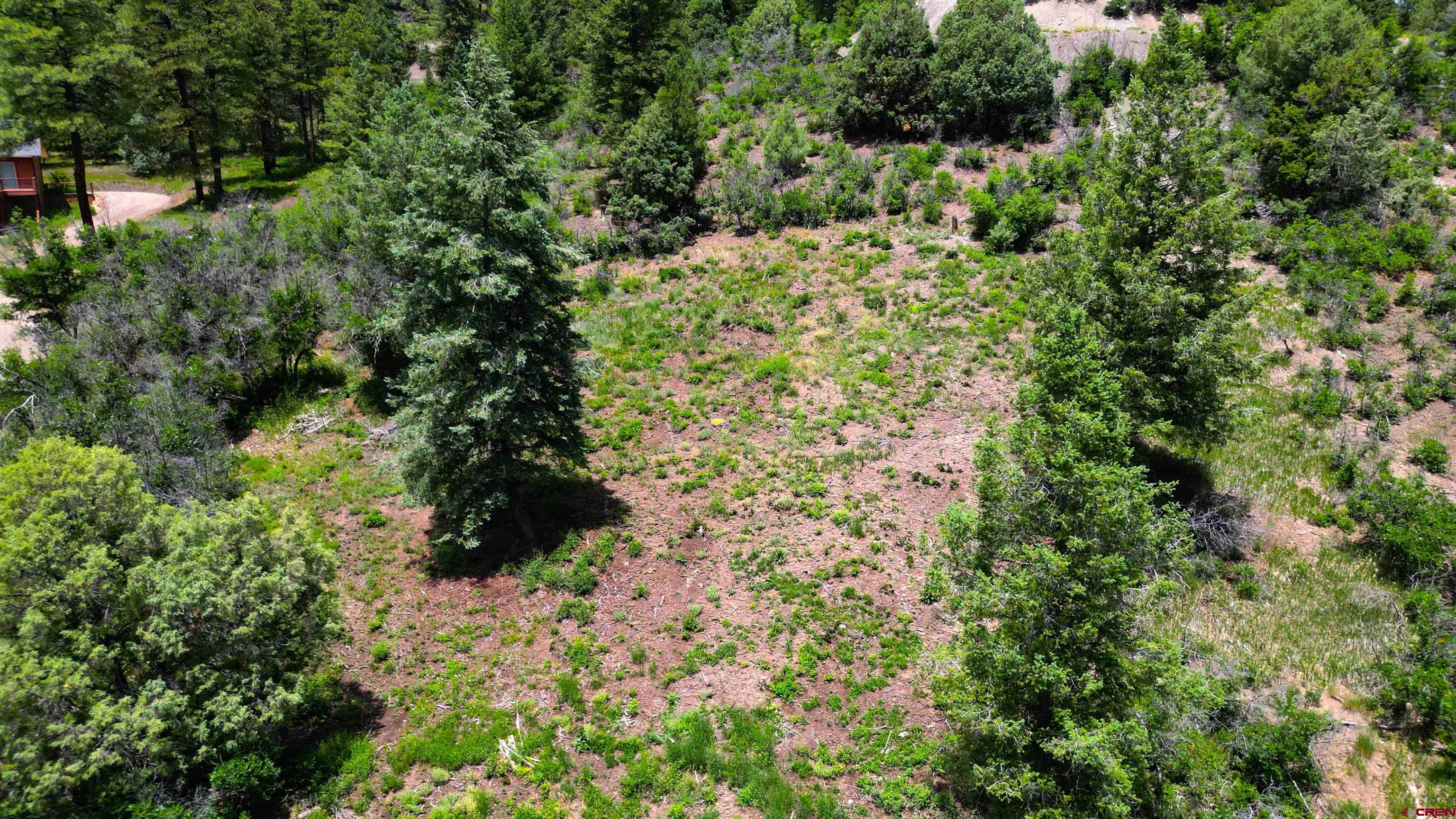 a view of a garden with plants