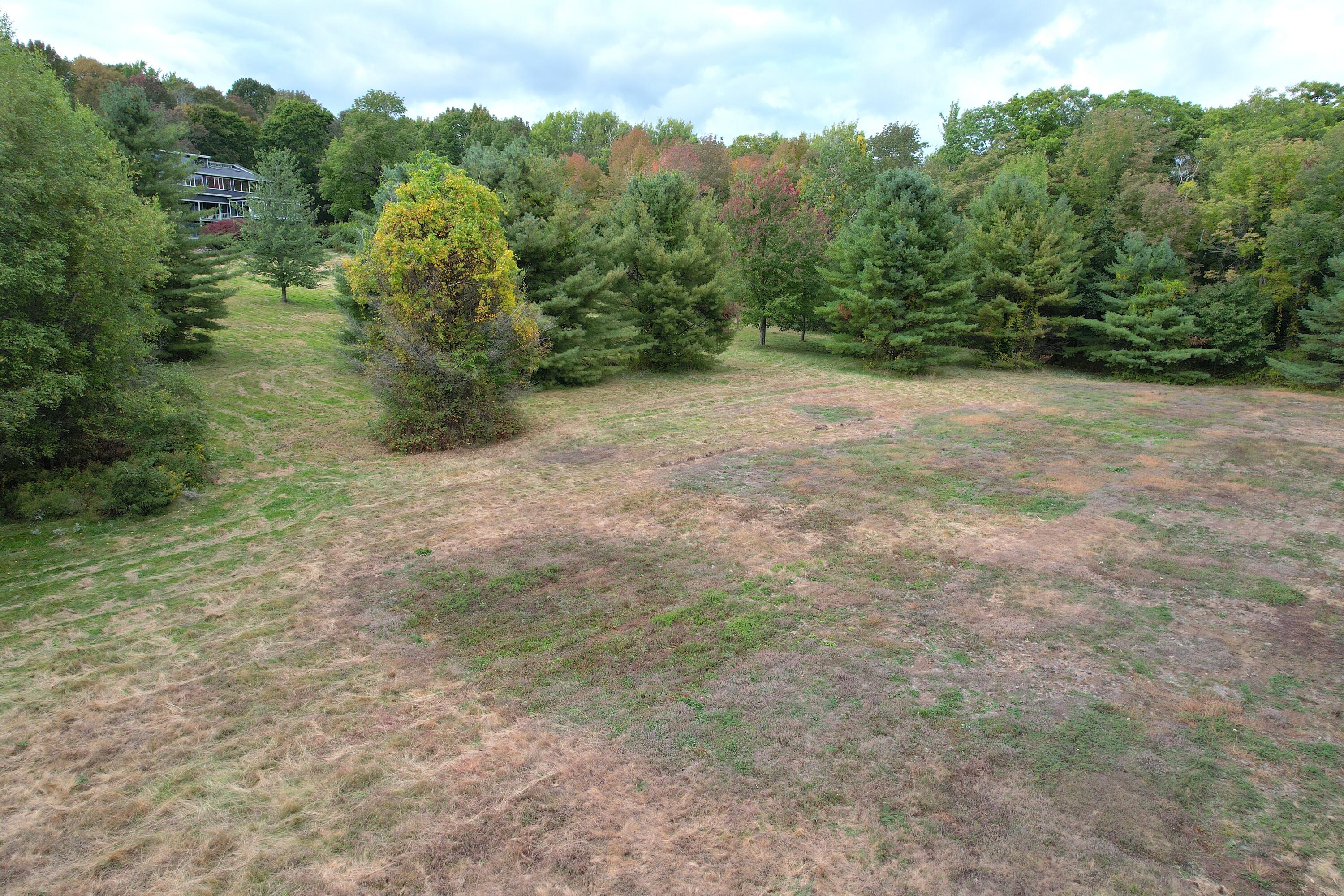 back right field