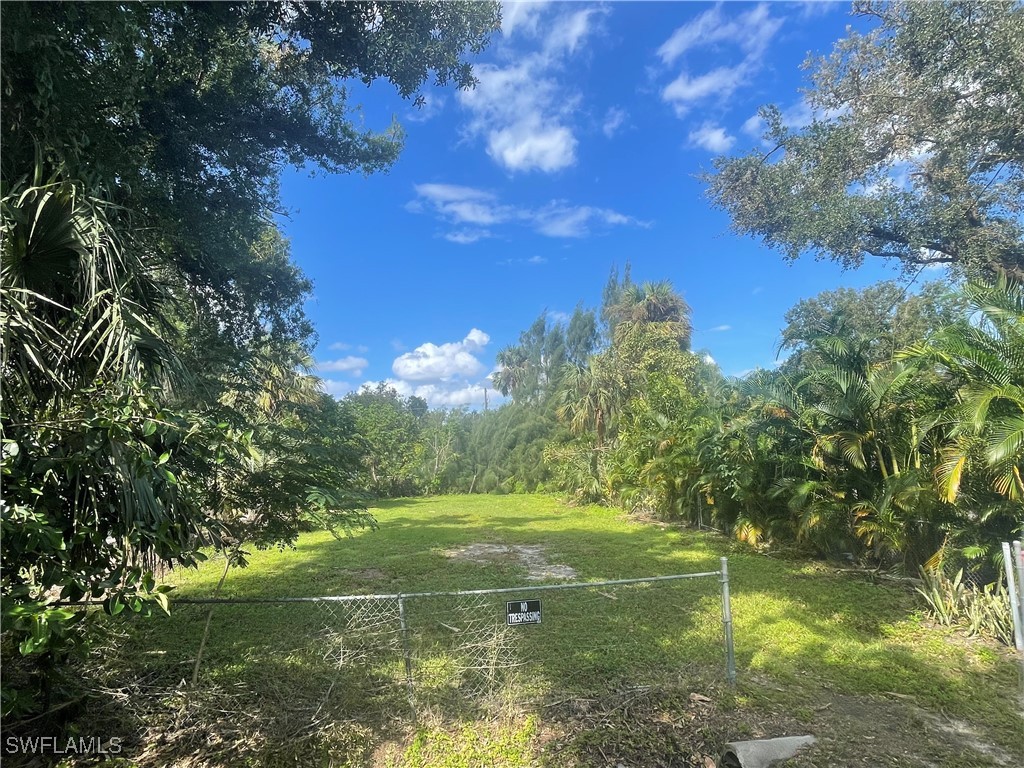 a view of a trees with a yard