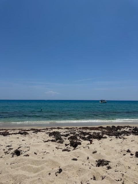 a view of an ocean beach