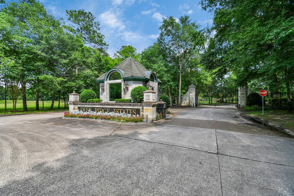 a view of a house with large trees and a small yard