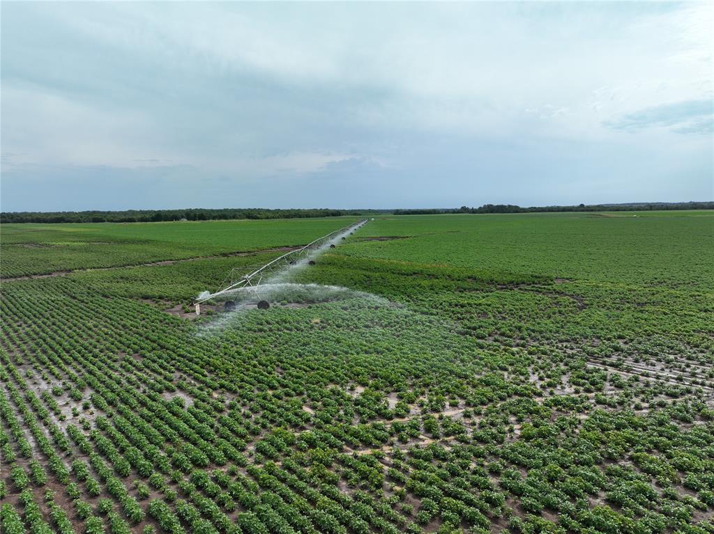 a view of a field with an ocean view