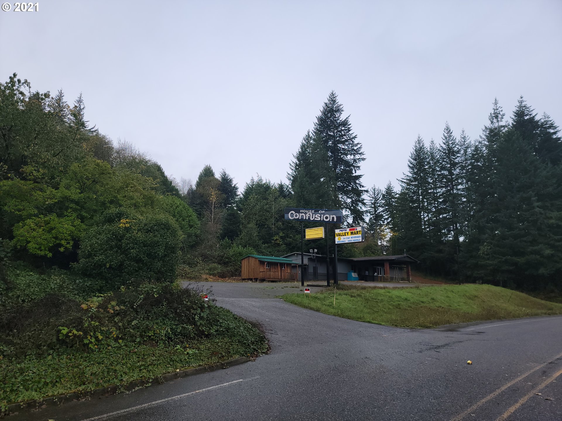 a view of a park with large trees