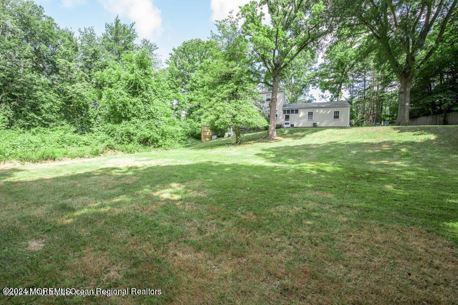 a view of a yard in front of a house with a large tree