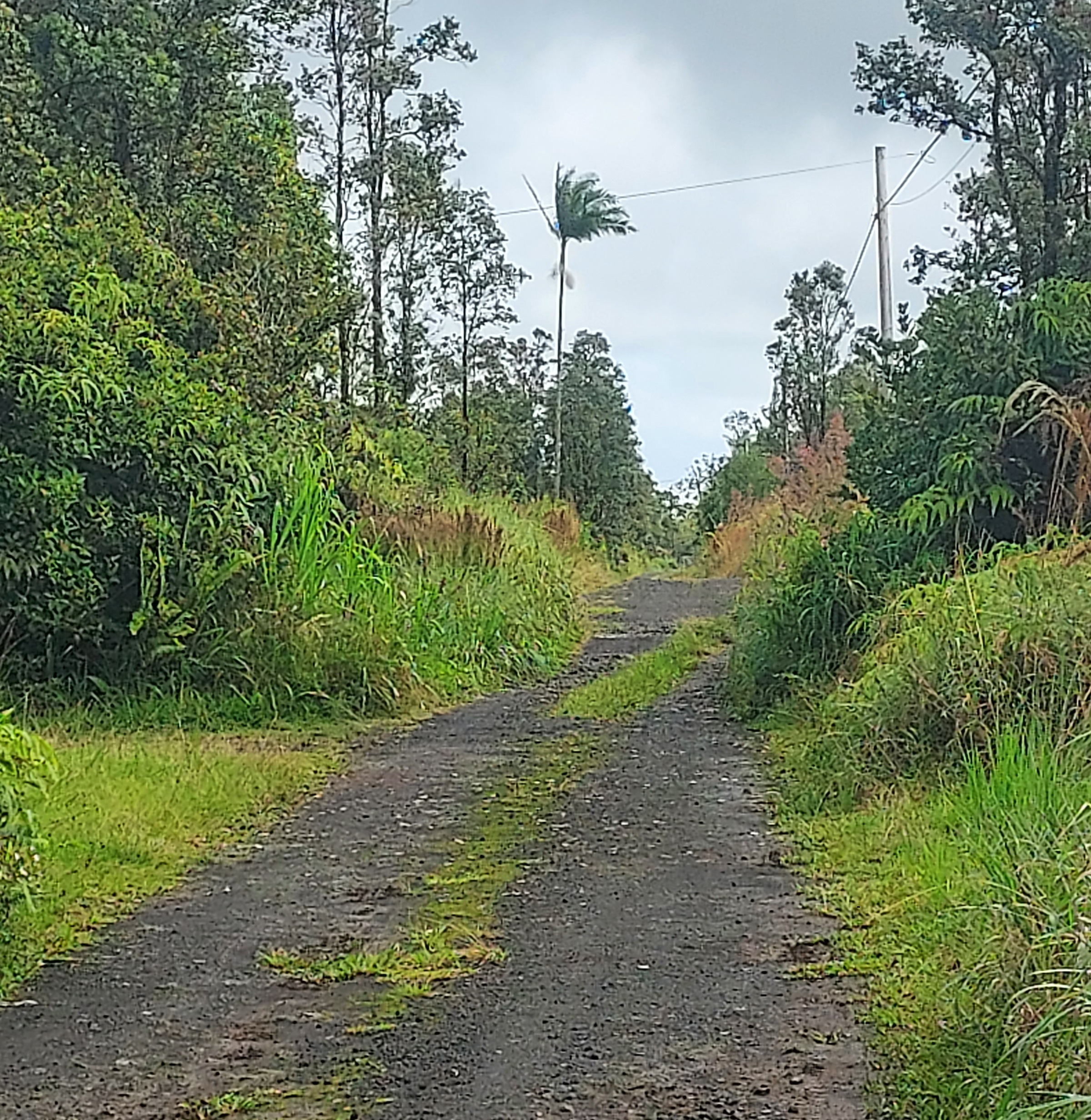 a view of a road with a yard