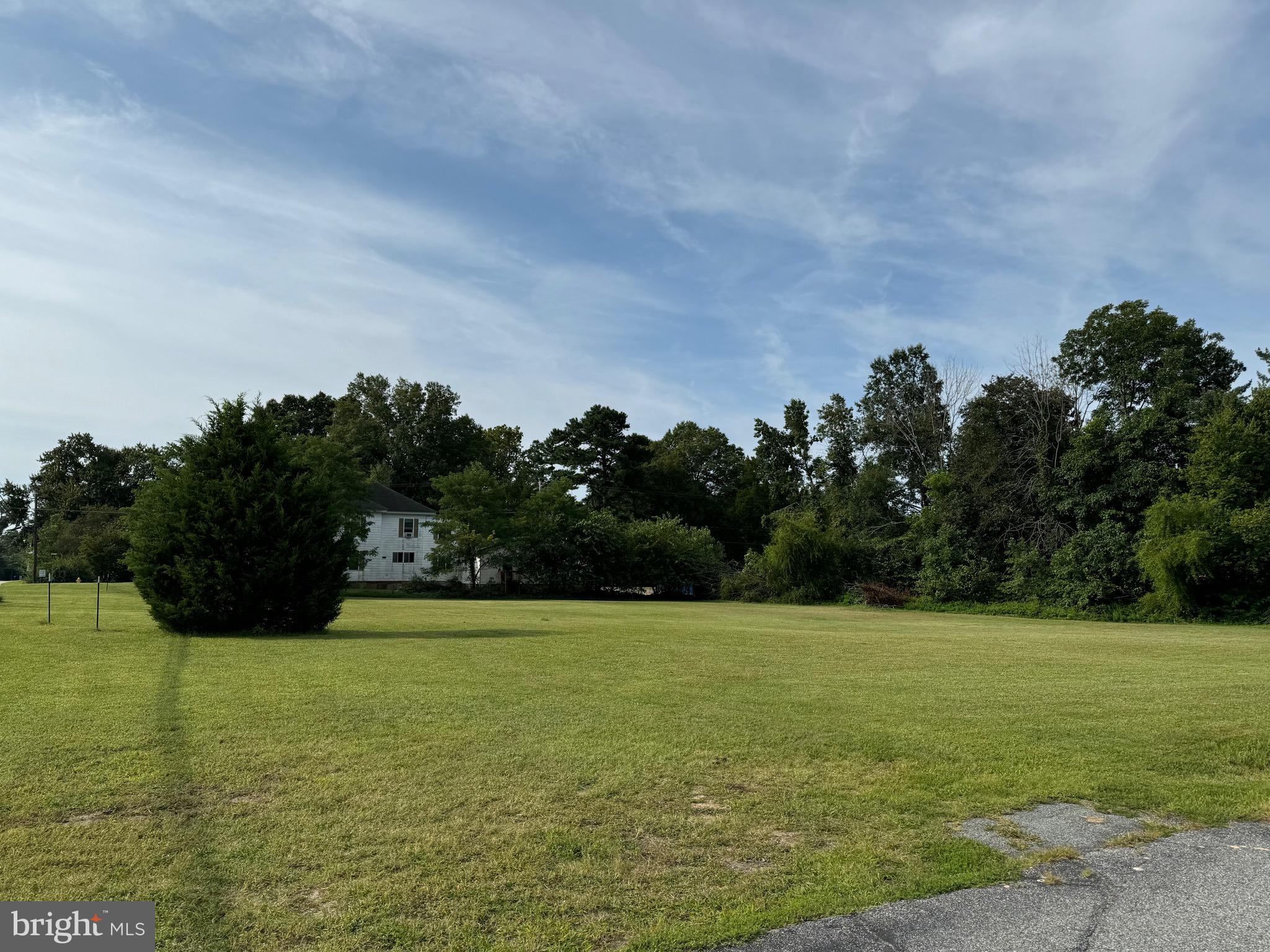 a view of a garden with a building in the background