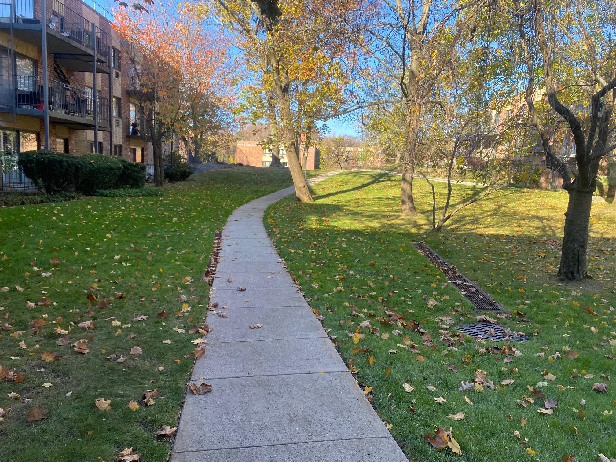 View of property's community with a lawn